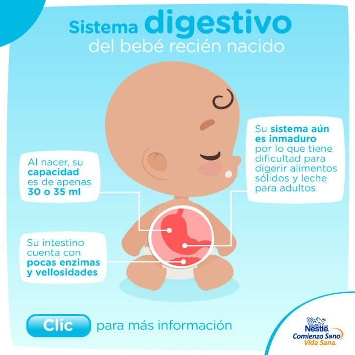 diagrama del sistema digestivo en un bebé y como funciona la digestión