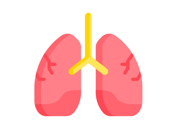 Icono reducir la incidencia de infecciones respiratorias